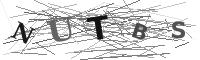 Please refresh your browser to see this image.